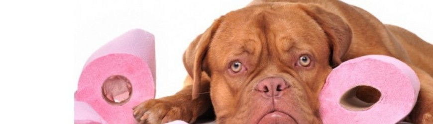 PFS proti inkontinencii