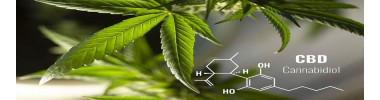 CBD oils and drops